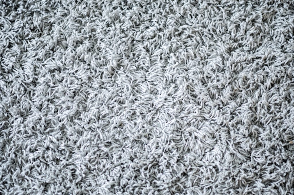 Clean home carpet maintained by the best carpet cleaners Reno property owners rely on